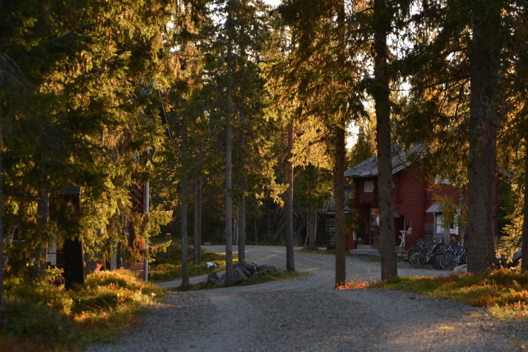 Wilderness Hotel Papin Talo Ruka Eksteriør bilde