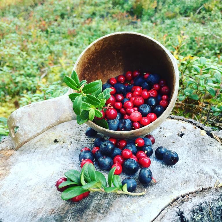 Wilderness Hotel Papin Talo Ruka Eksteriør bilde